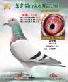 图片暂时未上传