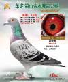 图片暂时未上传
