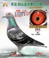 图片暂时未上传