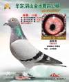 图片暂时未上传