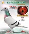 图片暂时未上传