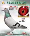图片暂时未上传