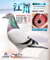 图片暂时未上传