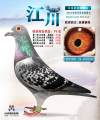 图片暂时未上传