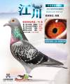 图片暂时未上传