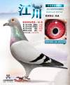 图片暂时未上传