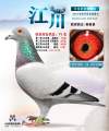 图片暂时未上传