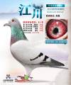 图片暂时未上传
