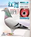 图片暂时未上传