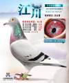 图片暂时未上传