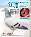 图片暂时未上传