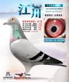 图片暂时未上传