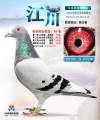 图片暂时未上传