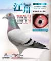 图片暂时未上传