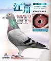 图片暂时未上传