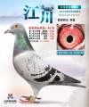 图片暂时未上传