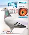 图片暂时未上传