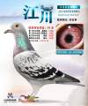 图片暂时未上传