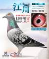 图片暂时未上传