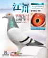 图片暂时未上传