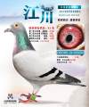 图片暂时未上传