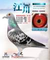 图片暂时未上传