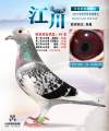 图片暂时未上传