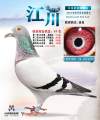 图片暂时未上传