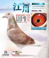 图片暂时未上传