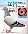 图片暂时未上传
