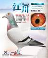 图片暂时未上传