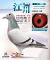 图片暂时未上传