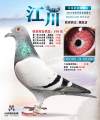 图片暂时未上传