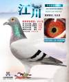 图片暂时未上传