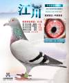 图片暂时未上传