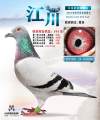 图片暂时未上传