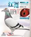 图片暂时未上传