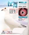 图片暂时未上传