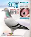 图片暂时未上传