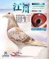 图片暂时未上传