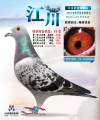 图片暂时未上传