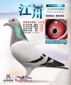 图片暂时未上传