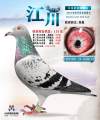 图片暂时未上传