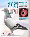 图片暂时未上传