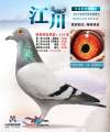 图片暂时未上传