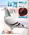 图片暂时未上传