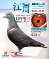 图片暂时未上传