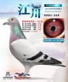 图片暂时未上传