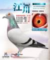 图片暂时未上传