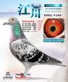图片暂时未上传